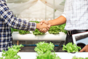 Hydroponics - Working together
